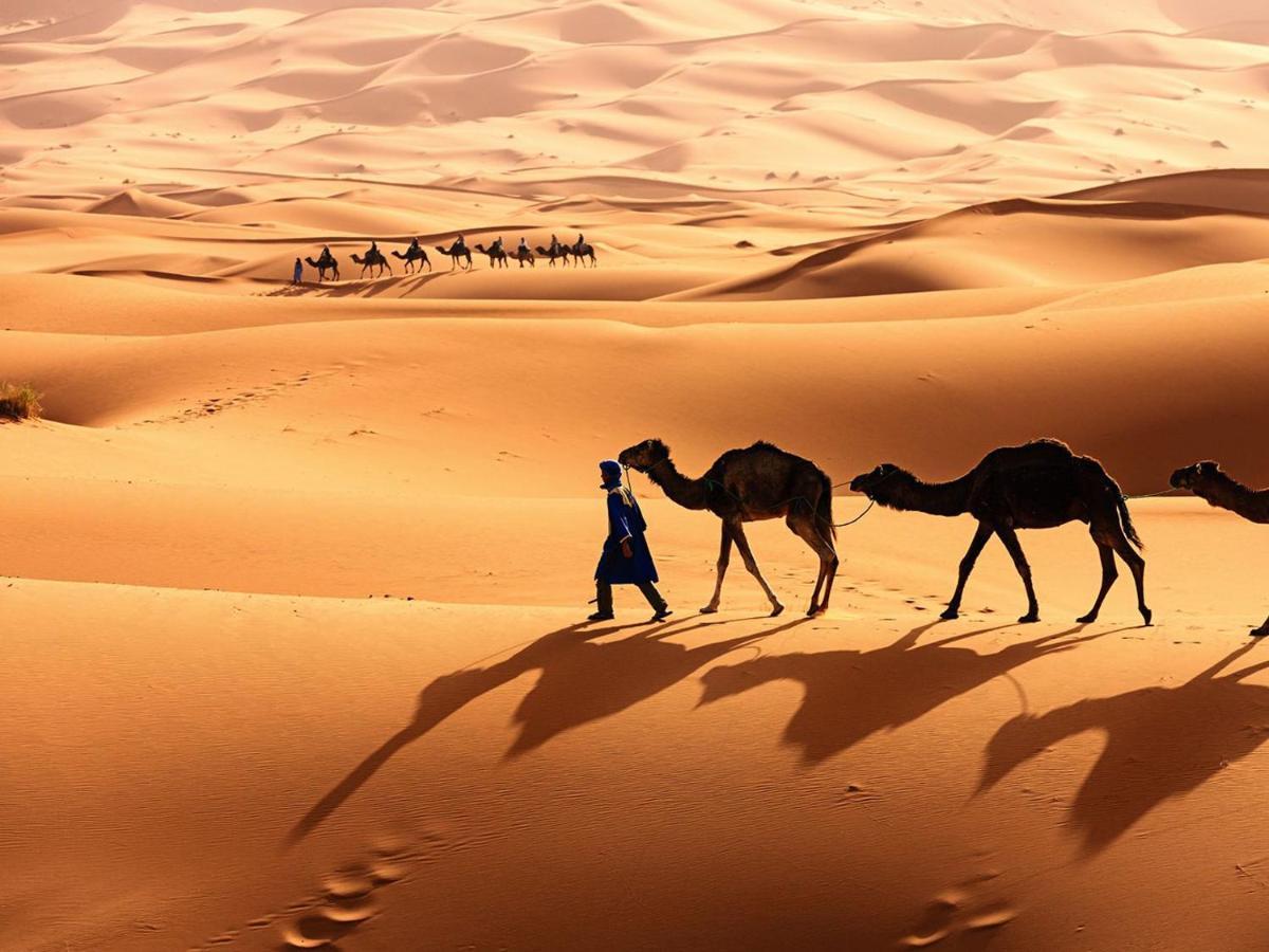 Alibaba Desert Camp Merzouga Bagian luar foto
